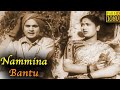 Nammina bantu full movie   akkineni nageswara rao  savitri