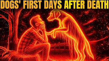 Edgar Cayce: Wat er met de zielen van honden gebeurt in de eerste dagen na de dood