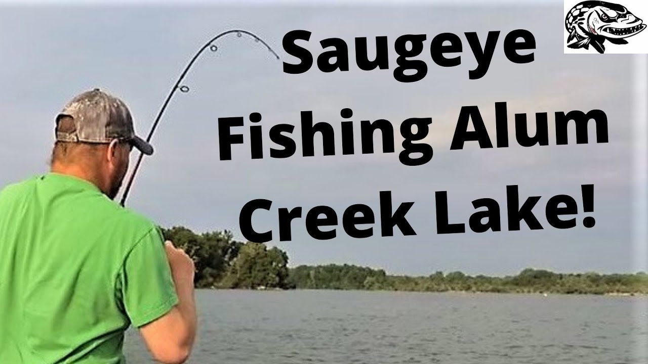 Saugeye Fishing at Alum Creek Lake YouTube