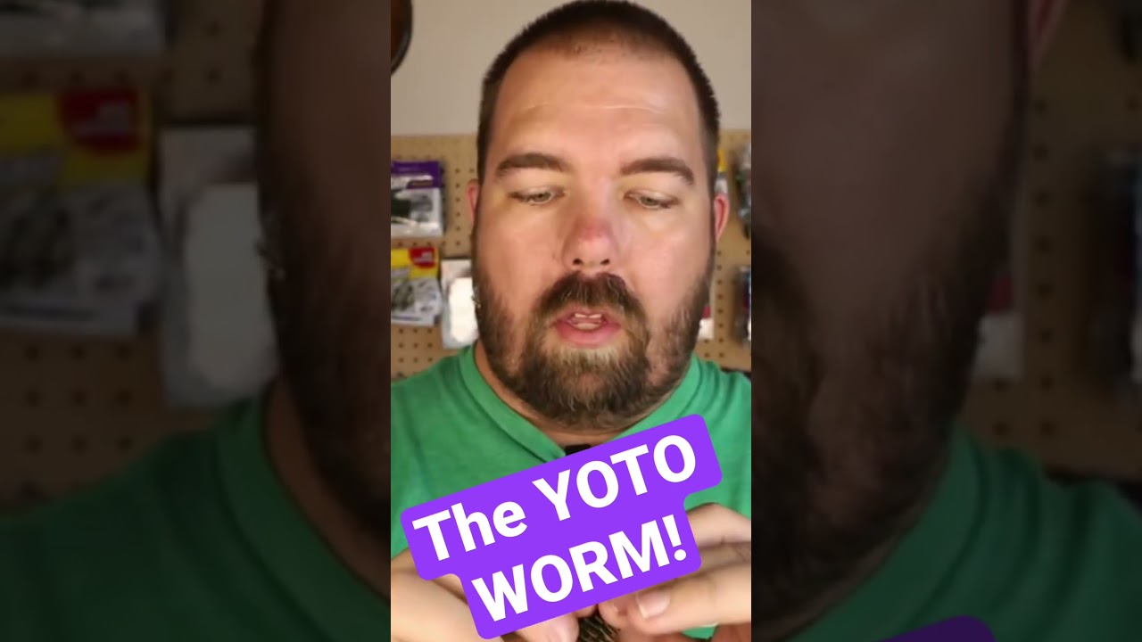 Couple of things about the YOTO WORM! 