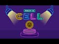 Understanding Cells