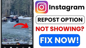 Instagram Repost Problem: Share Feature Not Showing || Reels Share Button Fix Guide