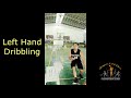 Types of dribbling in basketball i team sports i human kinetics i pe instructor