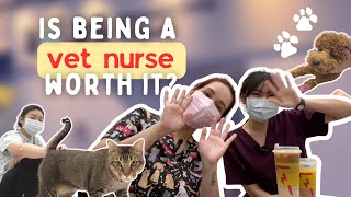What It's Really Like To Be A Vet Nurse (in Singapore) by May Yean 2,483 views 9 months ago 6 minutes, 53 seconds