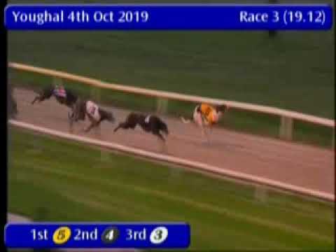 IGB - Bet on Barking Buzz App A5  04/10/2019 Race 3 - Youghal