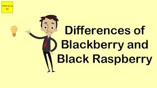 Differences of Blackberry and Black Raspberry