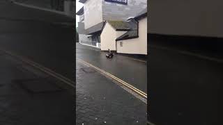 Skateboarder attempts to ride off roof and lands on back (Angle 2)