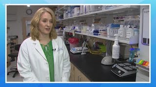 UW: Autism linked to illness during pregnancy