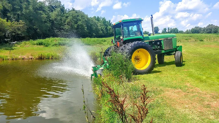 Save the Fish! : The Pond is in Danger of a Turnov...