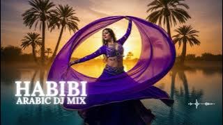 🎶 Habibi حبيبي Remix 2025 – Top Hits Vibes | Arabic DJ Mix