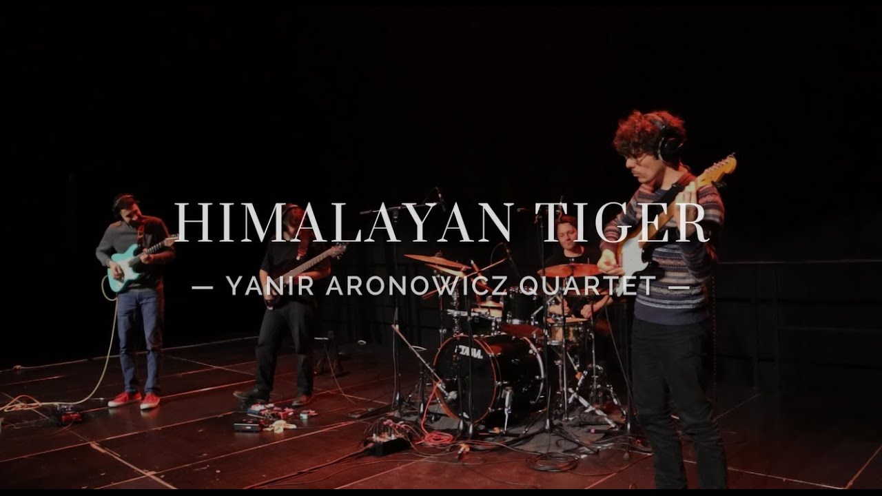 Himalayan Tiger - Live Session - Yanir Aronowicz Quartet