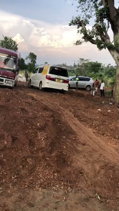 Toyota Alphard off road AWD