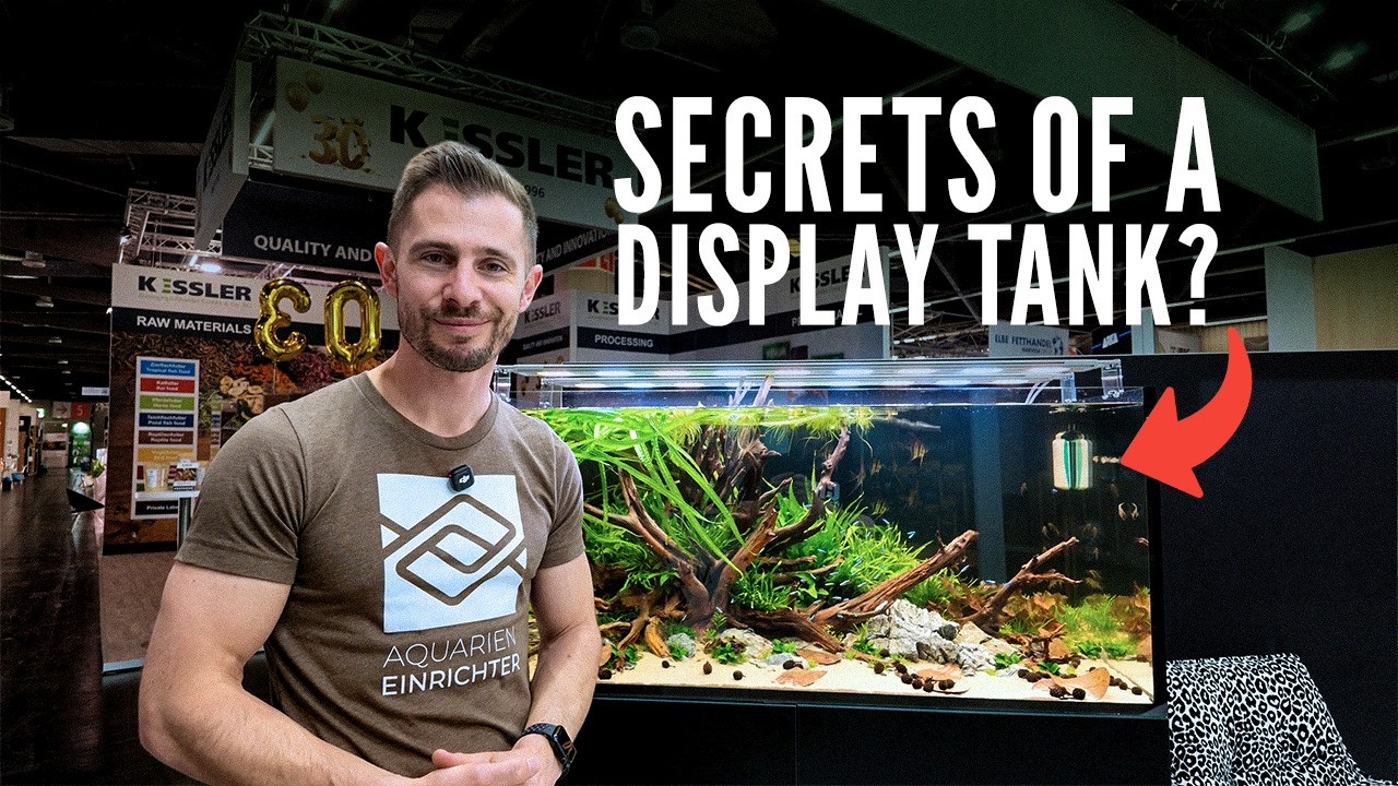 I built two distinct show aquariums at INTERZOO