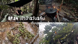 Ep.24 เข้าป่า1วัน1คืน กับเมนูของป่าหายาก #เดินป่า #เข้าป่า #เอาชีวิตรอด #trekking #chef #ลุยป่า