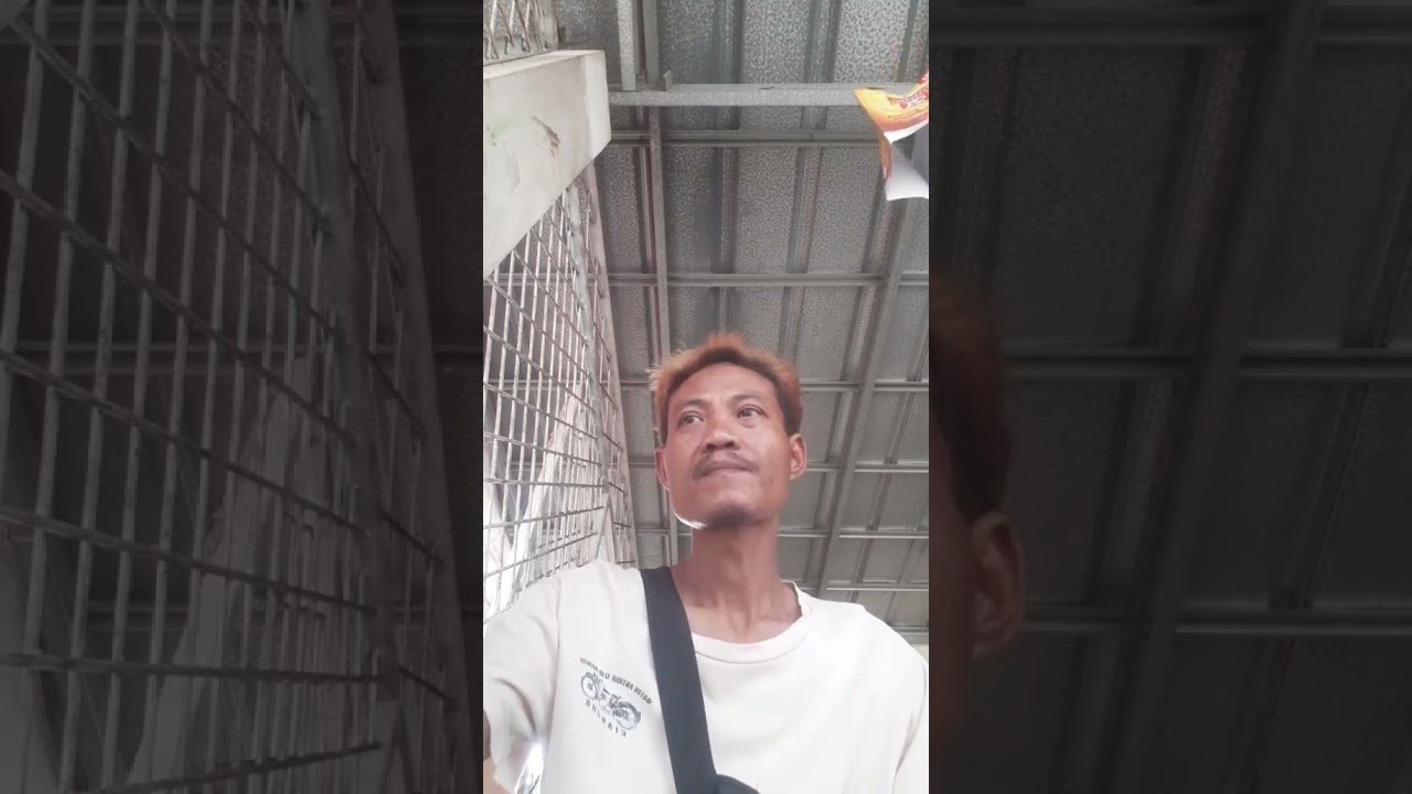 hiburan ya gaesss,dr pda mkirin yg gk jls