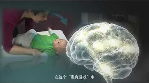 Serve and Return Interaction Shapes Brain Circuitry (Mandarin subtitles)