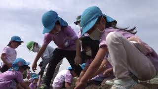 子どもたちの野菜収穫体験