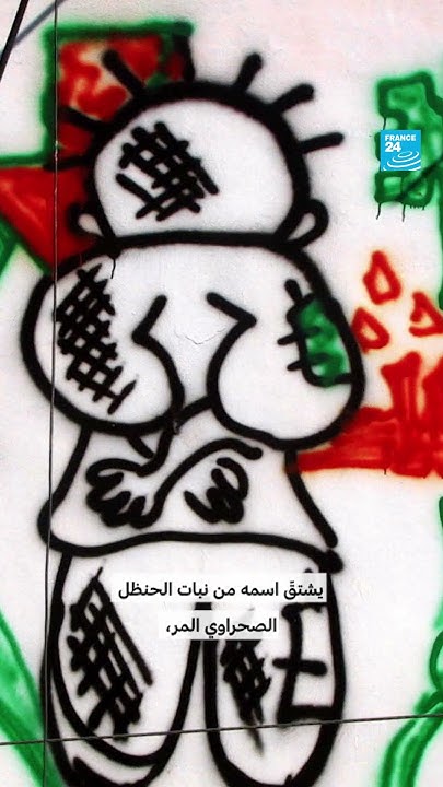 --      24
 - نشر قبل 2 ساعة