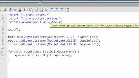 Adding Page Animations to your Flash Website