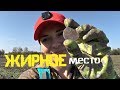 ЖИРНОЕ место! Нашла свою самую древнюю монету и ещё много чего!