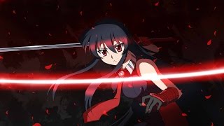 AMV -『We Are』| Akame ga kill