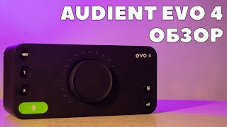 Обзор аудиокарты AUDIENT EVO 4