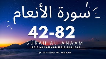 Surah Al-Anam |Ayat #42-82 | @TAYYABA-UL-QURAN With Arabic Text (HD)|سورة الأنعام