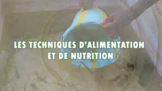 Dorcas Service Sarl Burkina, Ingénieur Bere Wendpouiré Elie Formation En Pisciculture