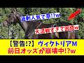 【ヴィクトリアM】【警告!?】ヴィクトリアMの前日オッズが崩壊中でファン悲鳴!?www