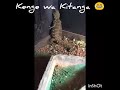 ANGALIA MAAJABU YA KENGE ANGALIA MAAJABU YA KENGE