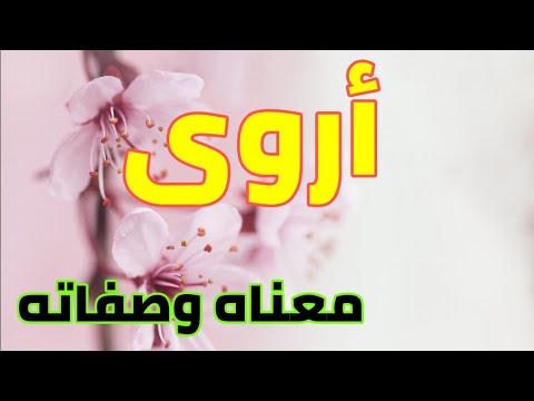 معنى اسم أروى وصفات من تحمل هذا الاسم