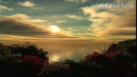 سورة الملك - بصوت القارئ الشيخ رعد محمد الكردي