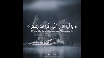 حالات واتس اب قران القارئ سالم الرويلي😴❣اجمل حالات واتس اب دينية♥️