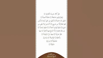 تلاوة في دقيقة سورة الغاشية الآيات ١   ١٦ الشيخ أسامة خياط