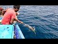 Back to back king fish caught in the deep sea