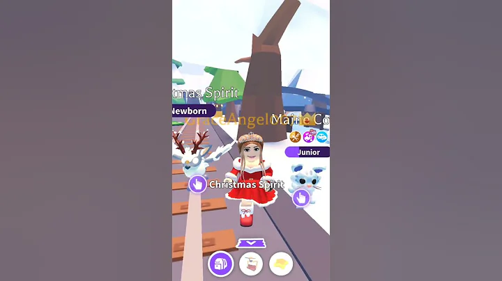 Video 11884711: cat pet maine coon, adoptable pet, pet show