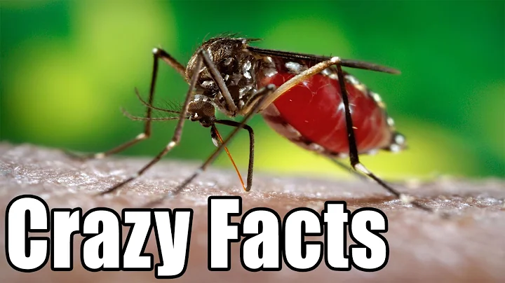 CRAZY FACTS ABOUT MOSQUITOES