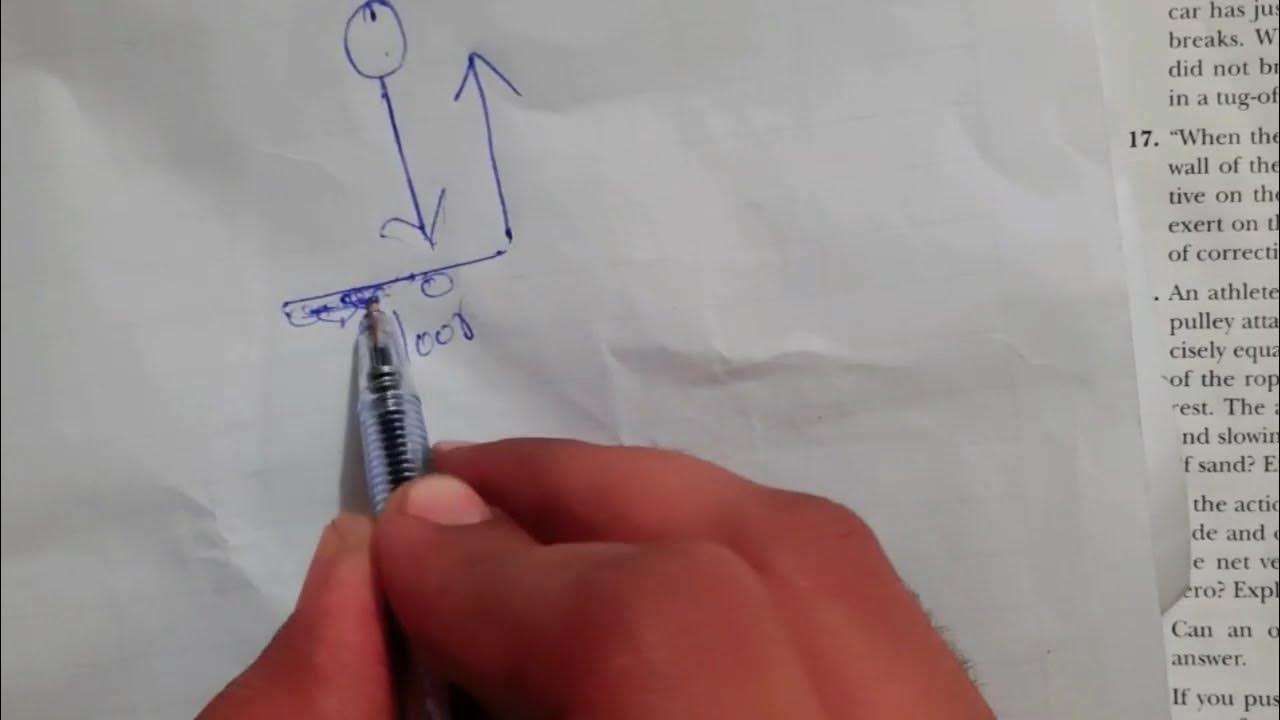 What forces causes the ball to bounce? YouTube