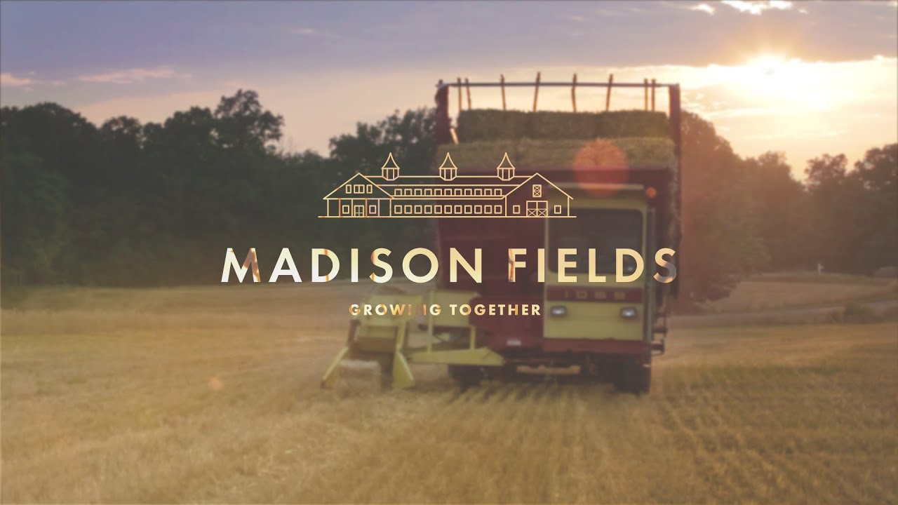 tractor tires Amber Waves of Grain: the Madison Fields wheat harvest