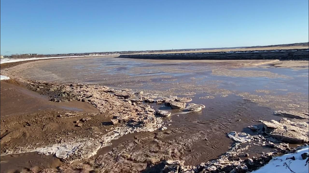 Tidal bore going up Hall’s Creek Moncton NB, Canada. January 8, 2022. YouTube