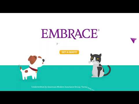 Embrace Pet Insurance Explained