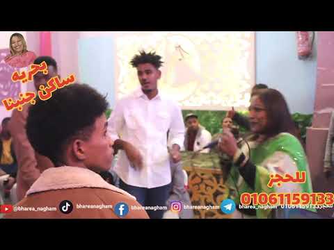 بحريه الملكه اندماج في ساكن جنبنا مع شباب السودان في احدث حفلات ٢٠٢٤ في اسوان