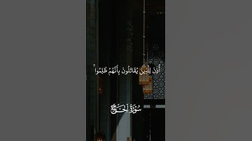 إن الله يدافع عن الذين آمنوا - سورة الحج | القارئ الشيخ هيثم الدخين