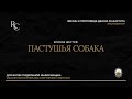 Экспозитор | Эпизод 6 | Пастушья собака