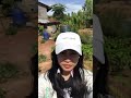 ถ่ายรูป 360 องศา 2022 New ถ่ายรูป360องศา