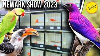 Newark Bird Show  October 2023