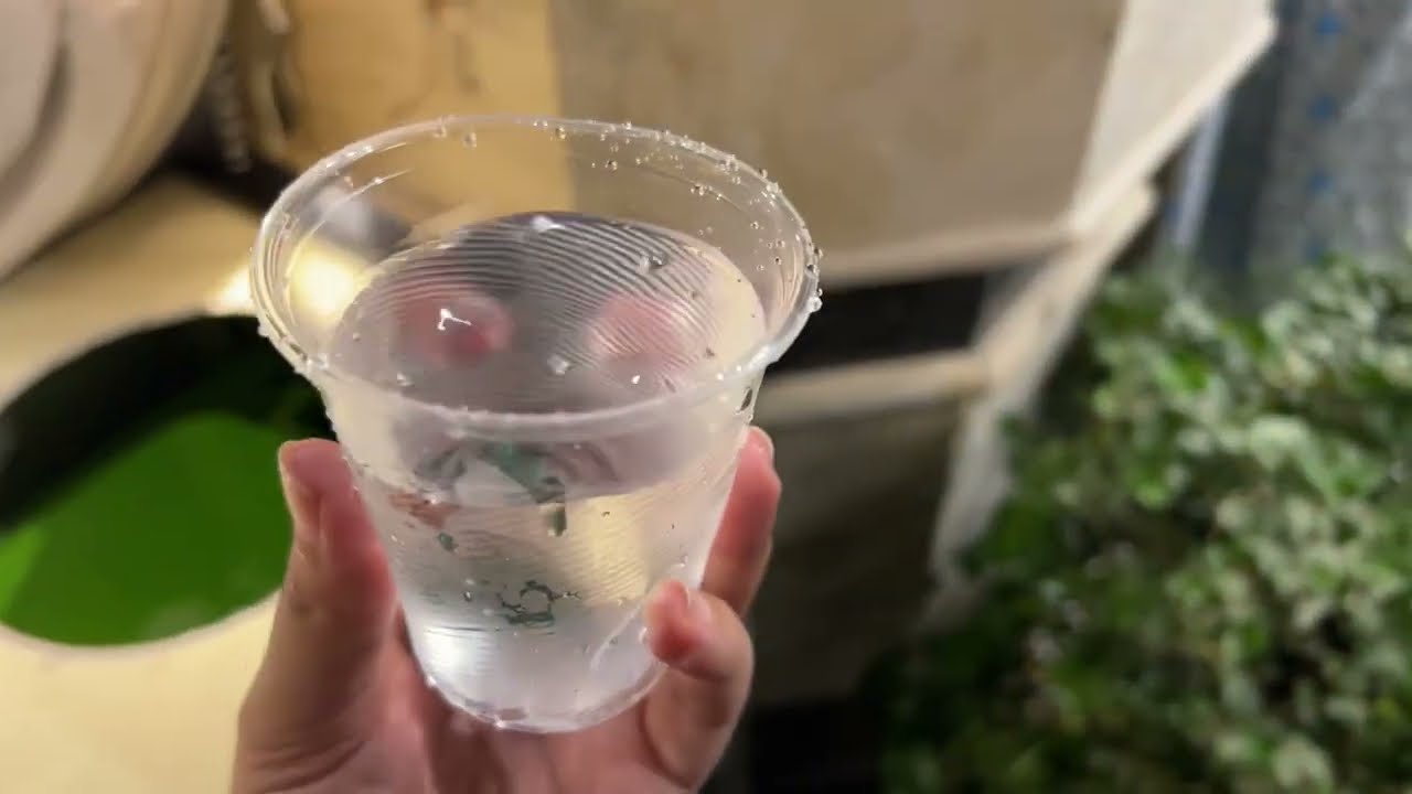 بعد الهبطه والخوفه الي صارت بيه 💔عوضتها باحلى مكان بل عالم♥️