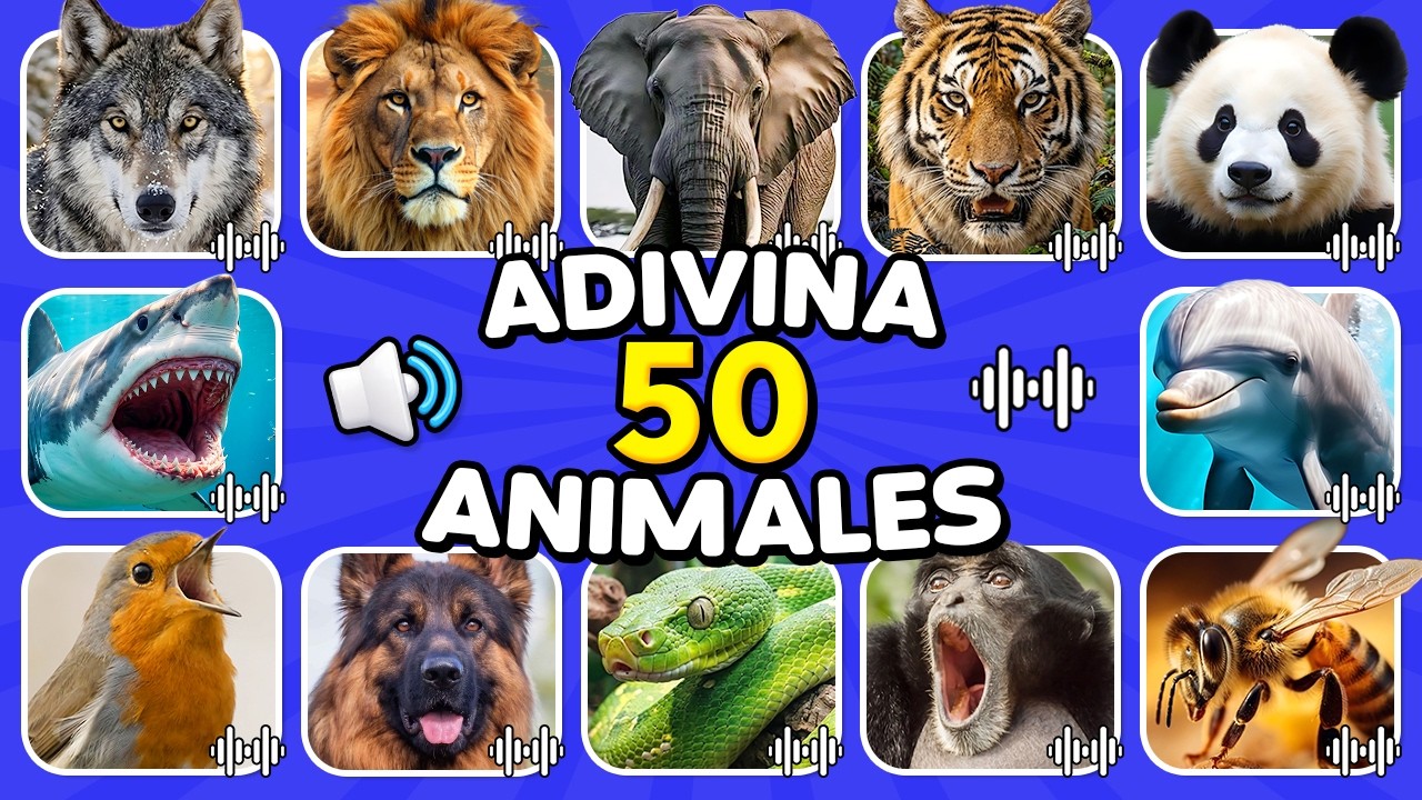 Adivina 50 animales por su sonido 🔊🦁🐼 Quiz de sonidos de animales - YouTube
