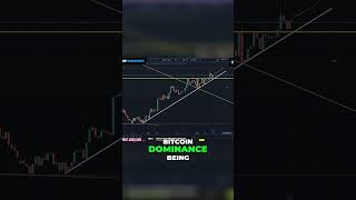 The Impact of Bitcoin Dominance on Altcoins: Stay Alert!
