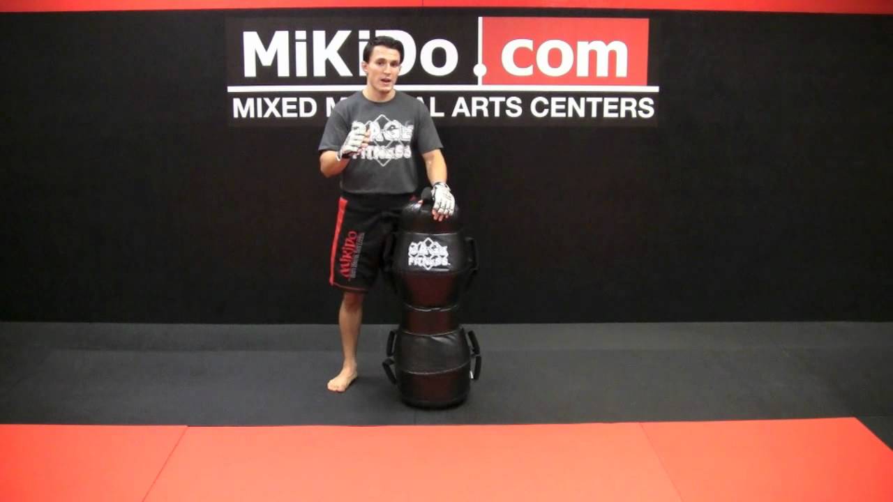 MiKiDo Cage Fitness -- Workout Description